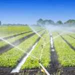 Cia: iniziativa su Agricoltura intensiva, aree irrigue e cambiamenti climatici