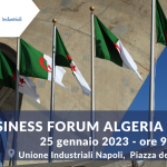 Unione Industriali di Napoli: Business Forum Italia-Algeria